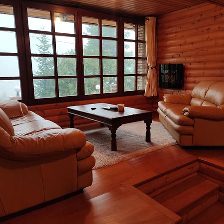 "Nest" The Wooden Suite By Ski Alure Eptálofos Exterior foto